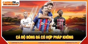 Cá độ bóng đá có hợp pháp không