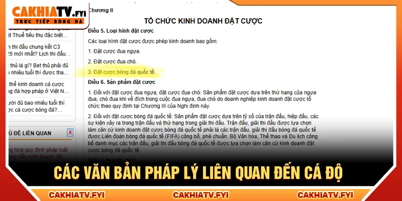 Các văn bản pháp lý liên quan đến cá độ bóng đá có hợp pháp không