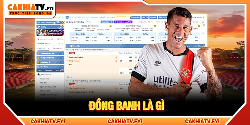 Đồng banh là gì