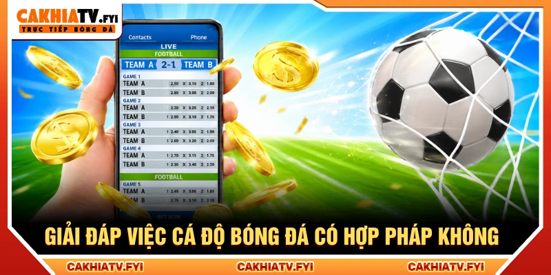 Giải đáp việc cá độ bóng đá có hợp pháp không tại Việt Nam