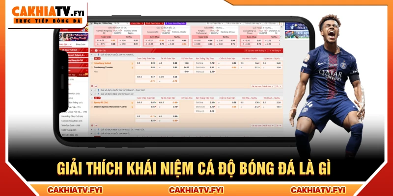 Giải thích chi tiết về khái niệm cá độ bóng đá là gì