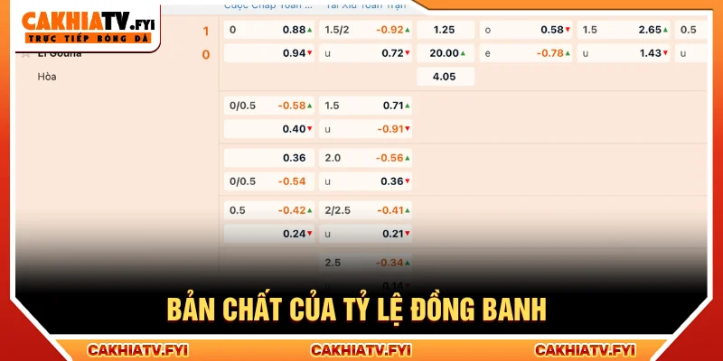 Khái niệm đồng banh là gì