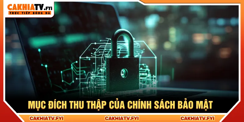 Mục đích thu thập và sử dụng thông tin an toàn