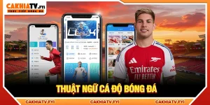 thuật ngữ cá độ bóng đá