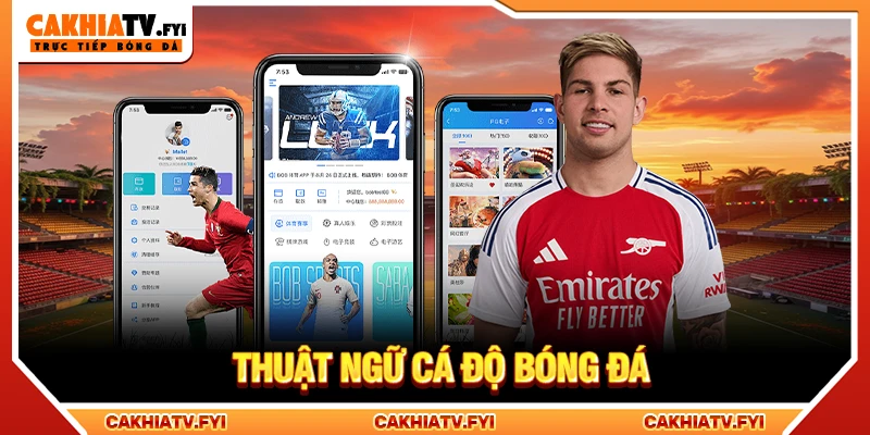 thuật ngữ cá độ bóng đá