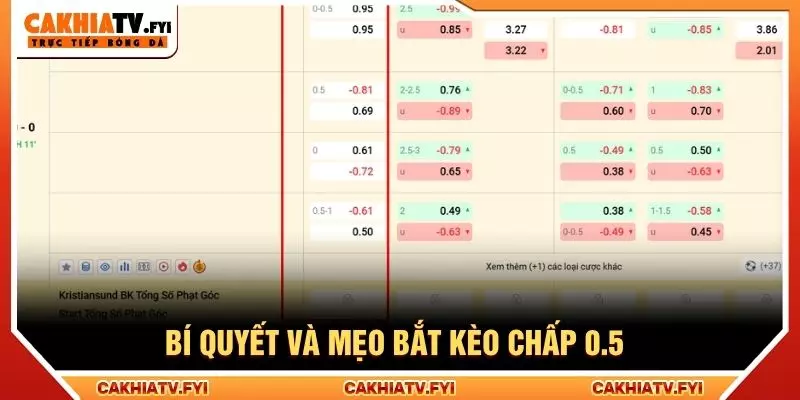 Bí quyết và mẹo bắt kèo chấp 0.5