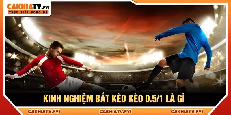 Kinh nghiệm bắt kèo kèo 0.5/1 là gì
