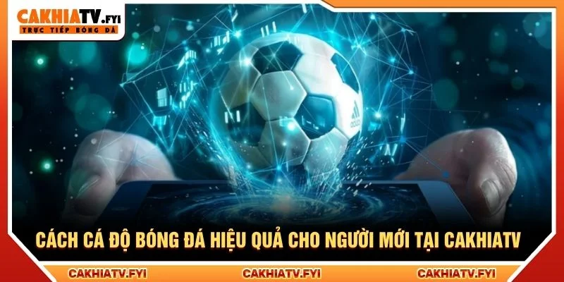Cách Cá Độ Bóng Đá Hiệu Quả Cho Người Mới Tại CakhiaTV
