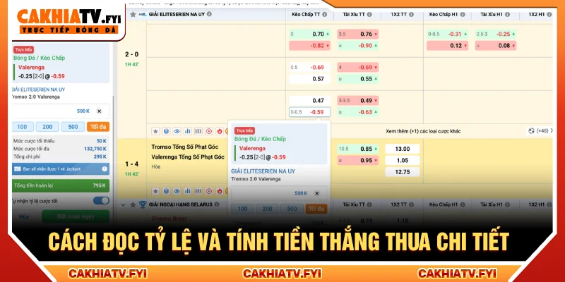 Đọc tỷ lêh kèo 0/0.5 là gì trong giải Eliteserien