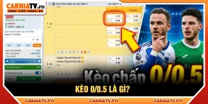 kèo 0/0.5 là gì