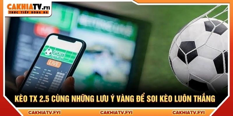 Kèo TX 2.5 Cùng Những Lưu Ý Vàng Để Soi Kèo Luôn Thắng