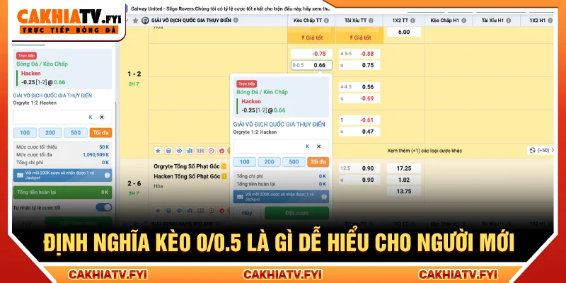 Khái niệm kèo 0/0.5 là gì dễ nhớ