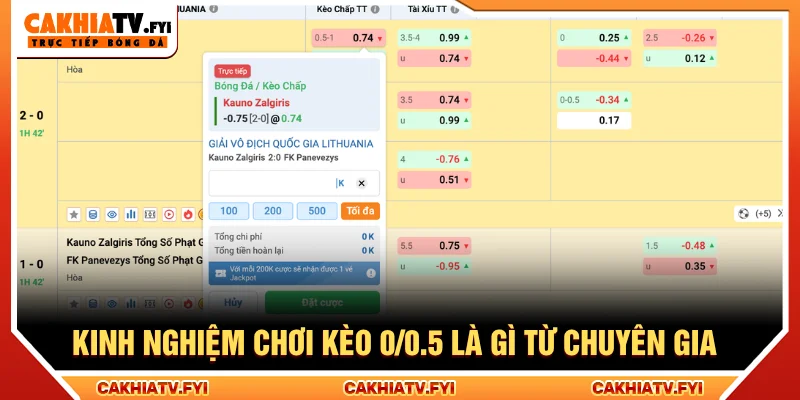 Kinh nghiệm kèo 0/0.5 là gì dễ hiểu cho bet thủ mới