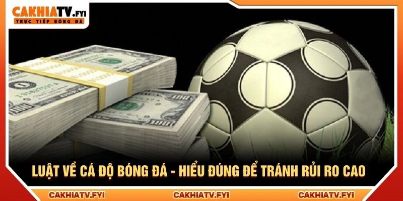 Luật Về Cá Độ Bóng Đá - Hiểu Đúng Để Tránh Rủi Ro Cao