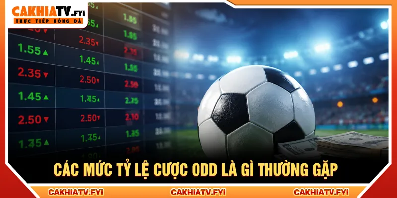 Mỗi mức tỷ lệ cược có công thức tính tiền thắng khác nhau