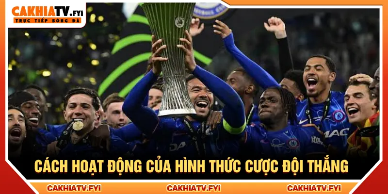 Nắm rõ hoạt động cược đội vô địch tối ưu lựa chọn