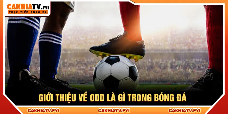 Nắm rõ khái niệm Odd là gì khi cá cược bóng đá Cakhiatv