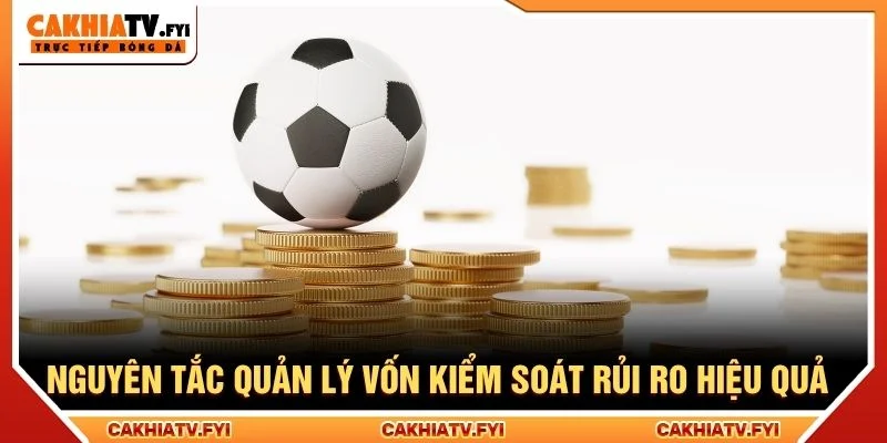 Nguyên tắc quản lý vốn kiểm soát rủi ro hiệu