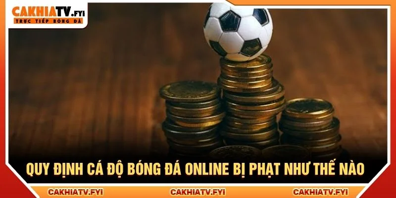 Quy định cá độ bóng đá online bị phạt như thế nào