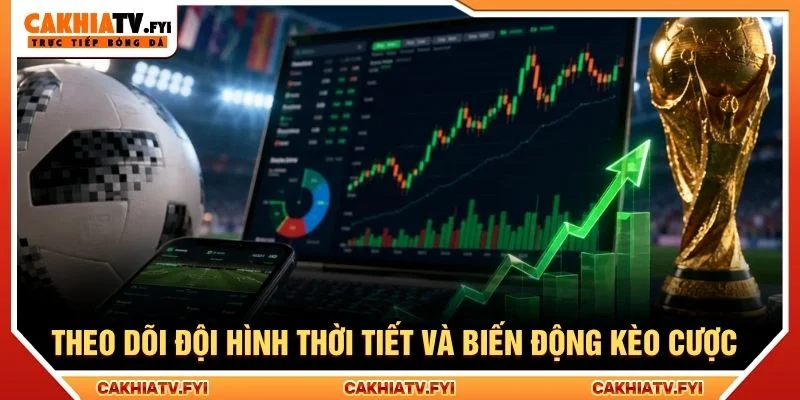 Theo dõi đội hình thời tiết và biến động kèo cược