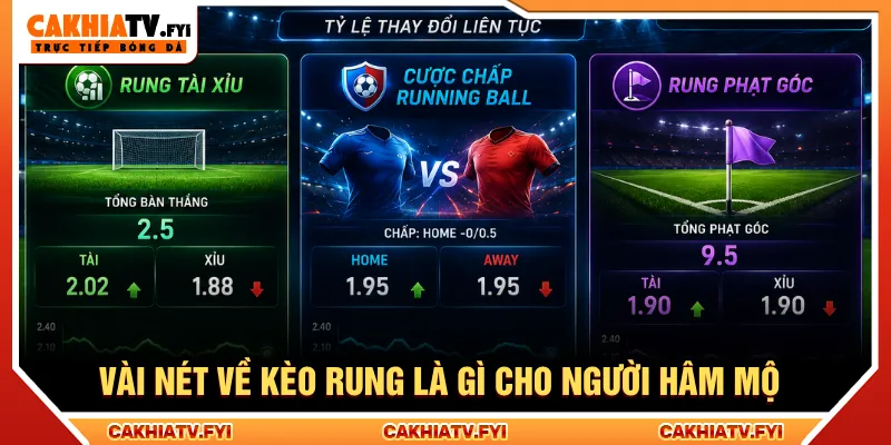 Tìm hiểu kèo rung là gì gia tăng nhận định bóng đá
