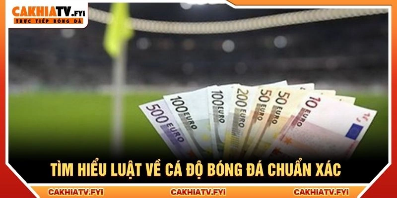 Tìm hiểu luật về cá độ bóng đá chuẩn xác