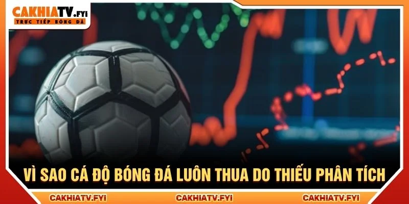 Vì sao cá độ bóng đá luôn thua do thiếu phân tích